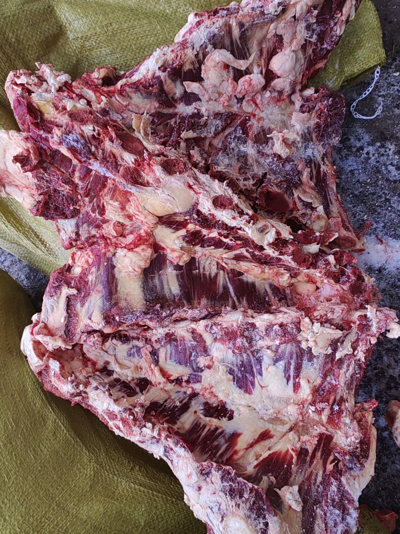 【牛胸骨】当地草原黄牛肉小胸叉，有肉有筋带脆骨，袋装