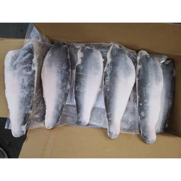 新鲜带皮巴沙鱼柳20-24片箱巴沙鱼柳国产无骨鲜活水产巴