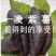 紫薯【紫薯瑰宝——凌紫】