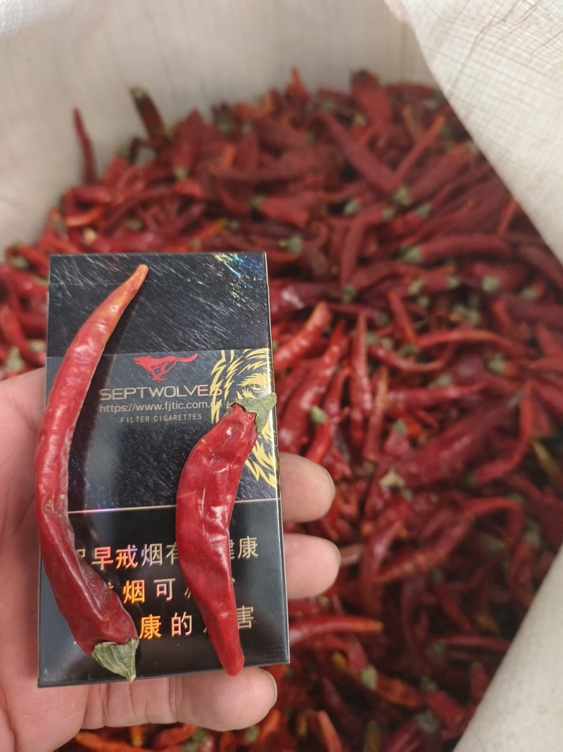 【推荐】朝天椒高山朝天椒干辣椒基地直供价格通明全国发货