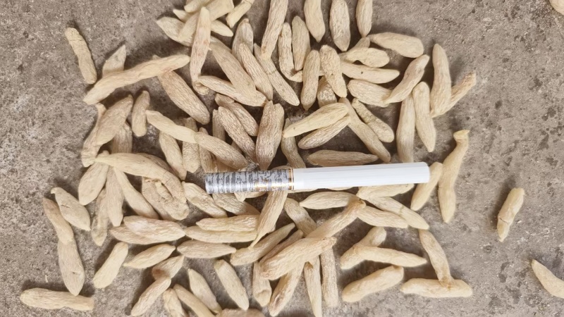 麦冬多种规格，品质优良供货量大，供货稳定，欢迎电话联系。