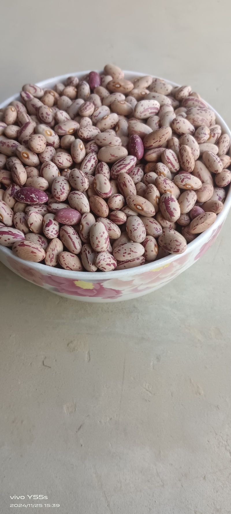 雀蛋豆