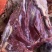 驴排骨驴肉品质好货源充足量大从优产地直销