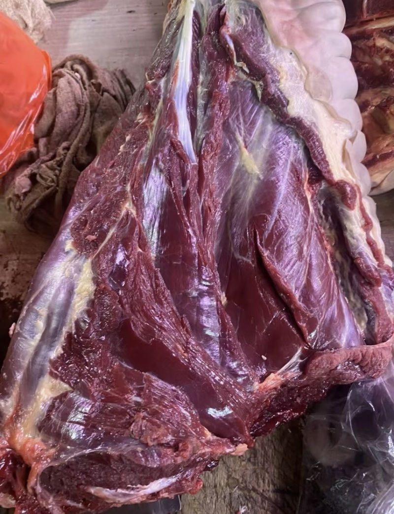 驴排骨驴肉品质好货源充足量大从优产地直销