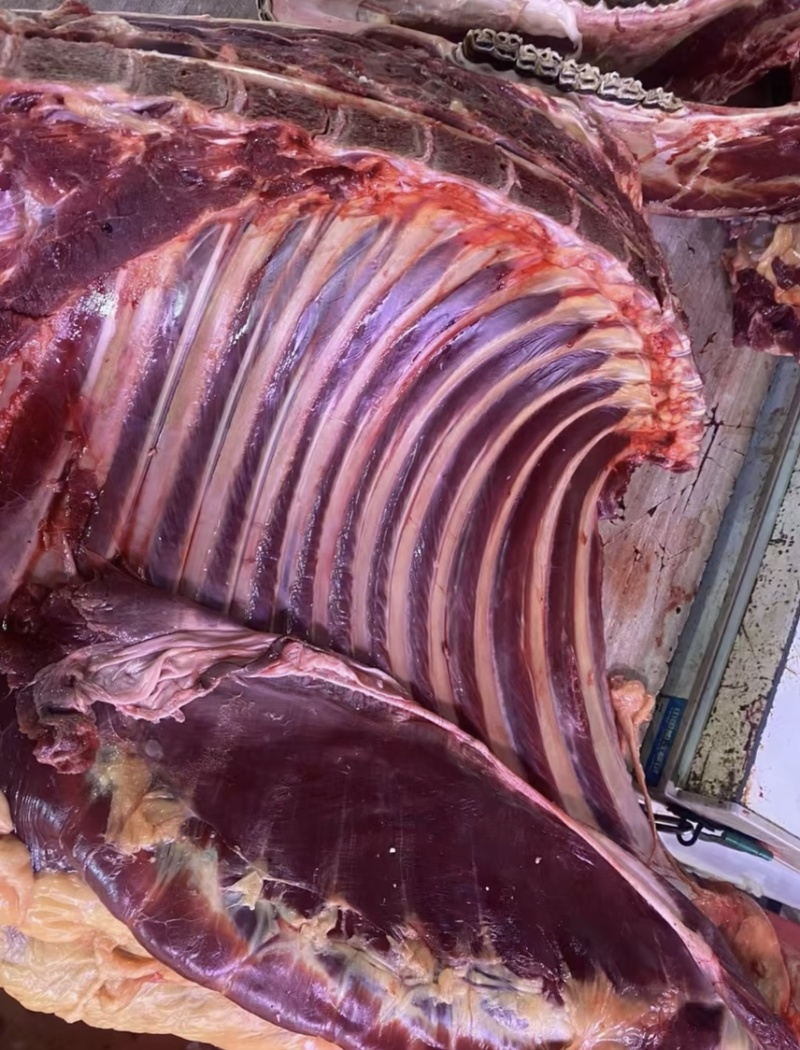 驴排骨驴肉品质好货源充足量大从优产地直销