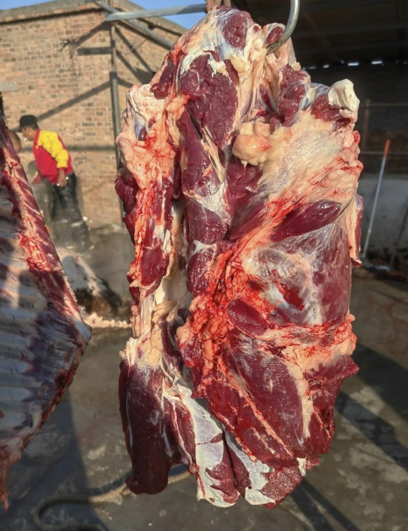 驴排骨驴肉品质好货源充足量大从优产地直销
