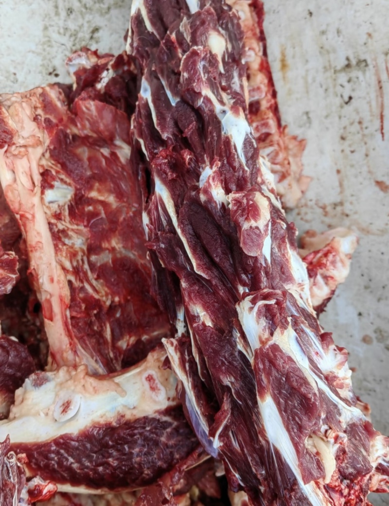 驴排骨驴肉品质好货源充足量大从优产地直销