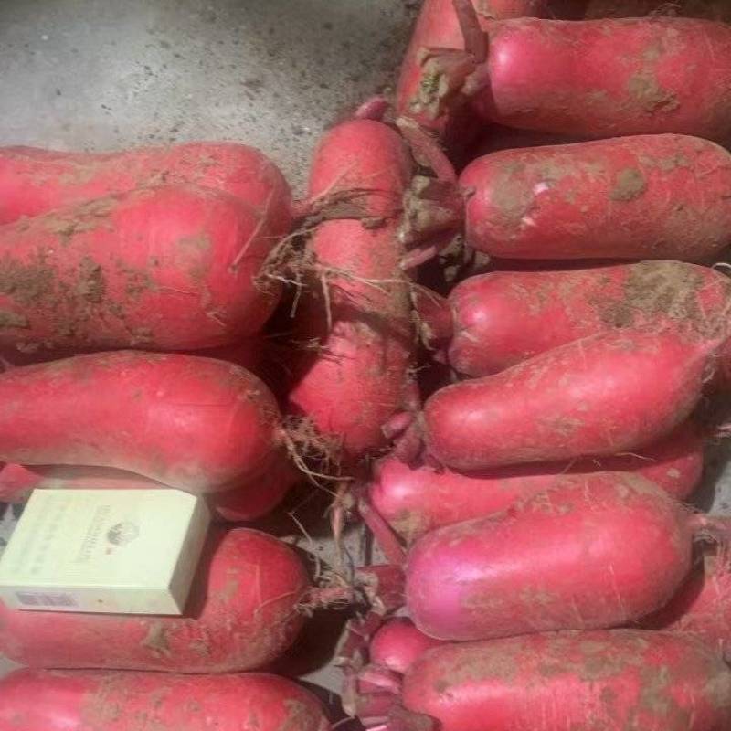 大量供应精品电商，超市档，一手货源，价格美丽。