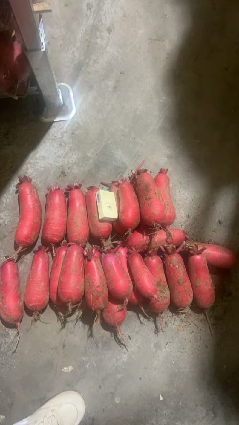 大量供应精品电商，超市档，一手货源，价格美丽。