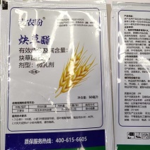 15%炔草酯麦田除草剂小麦田苗后专用尖叶草除草