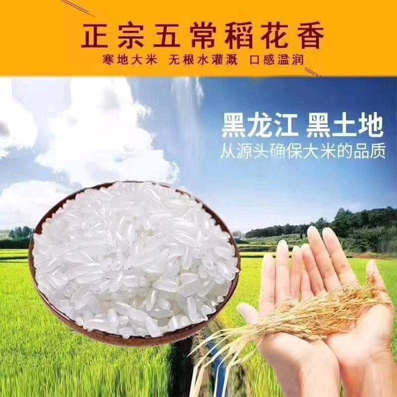 五常市五常大米稻花香大米自产自销保质保量价格实惠
