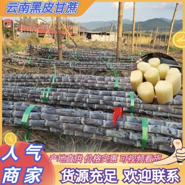 【精选】云南黑皮甘蔗，大量供应电商，商超，市场，代发全国