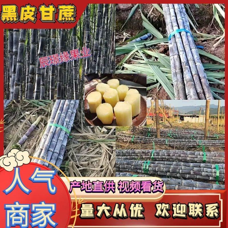 【实力】云南黑皮甘蔗，大量供应电商，市场，商超，代发全国