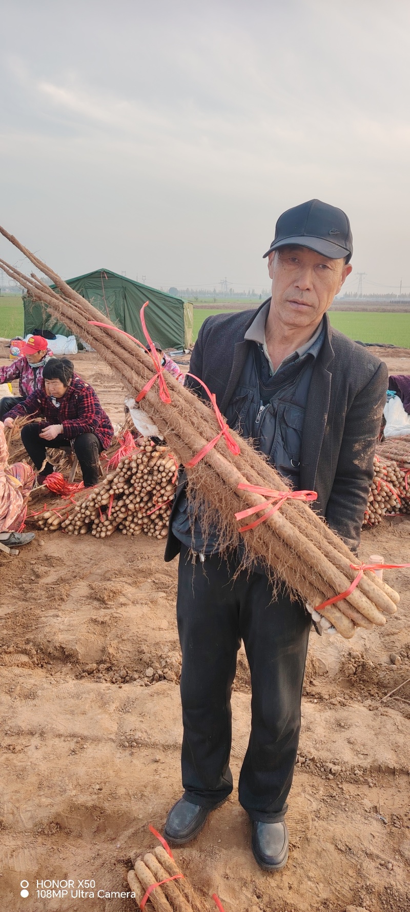 铁棍山药垆土，电商货市场货，商超货