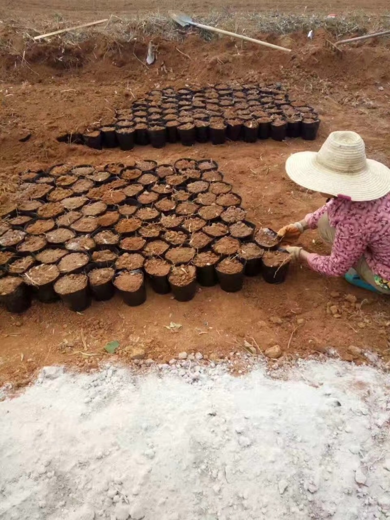 江西九江都昌县耕地荒地旱地出租/转让
