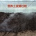 优质营养土，疏松透气，保水保肥不积水不烂根，不生蚊虫杂草