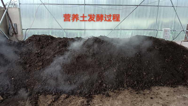 优质营养土，疏松透气，保水保肥不积水不烂根，不生蚊虫杂草