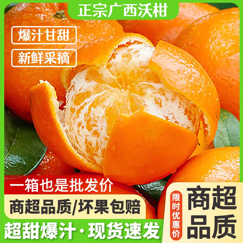 【广西沃柑】武鸣沃柑/产地直发/质量三包/欢迎采购商来电