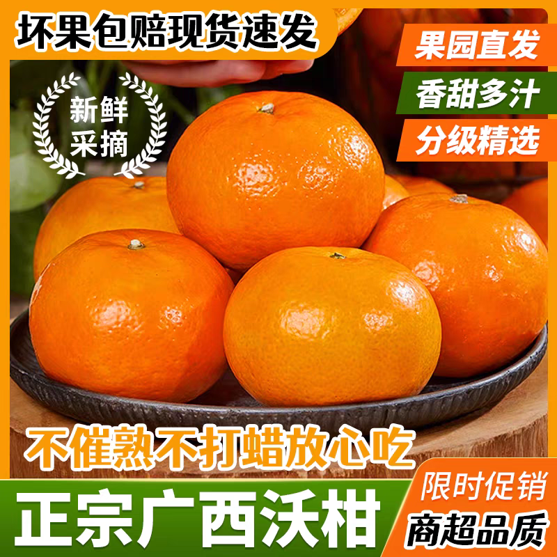 【广西沃柑】武鸣沃柑/产地直发/质量三包/欢迎采购商来电
