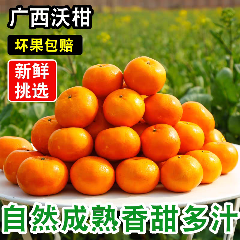 【广西沃柑】武鸣沃柑/产地直发/质量三包/欢迎采购商来电