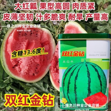 双红金钻西瓜种子特大果超甜西瓜种籽皮薄高产耐旱大红瓤西瓜