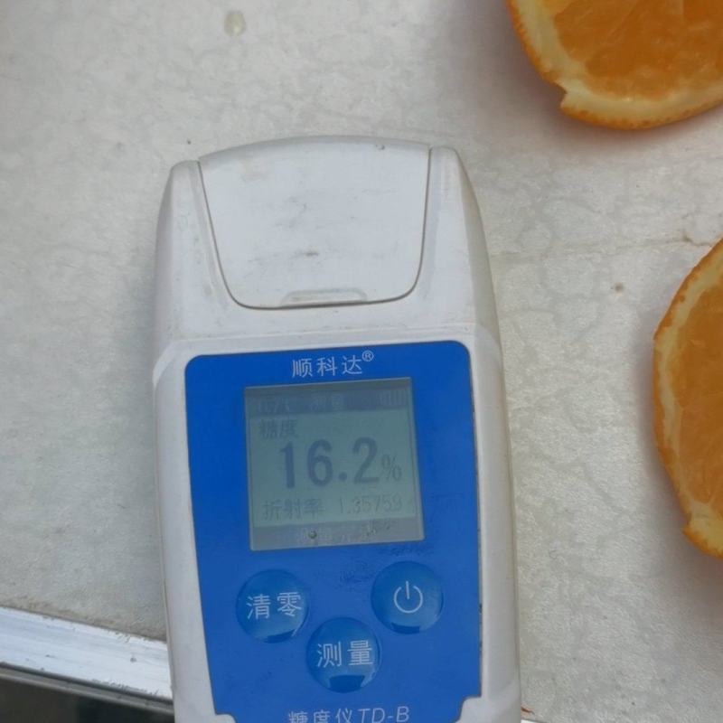 湖北橙子纽荷尔脐橙对接电商市场大量有货，有需要电联