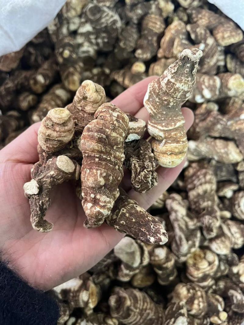 重楼，精品重楼，个大饱满品质保证，货源充足，量大从优