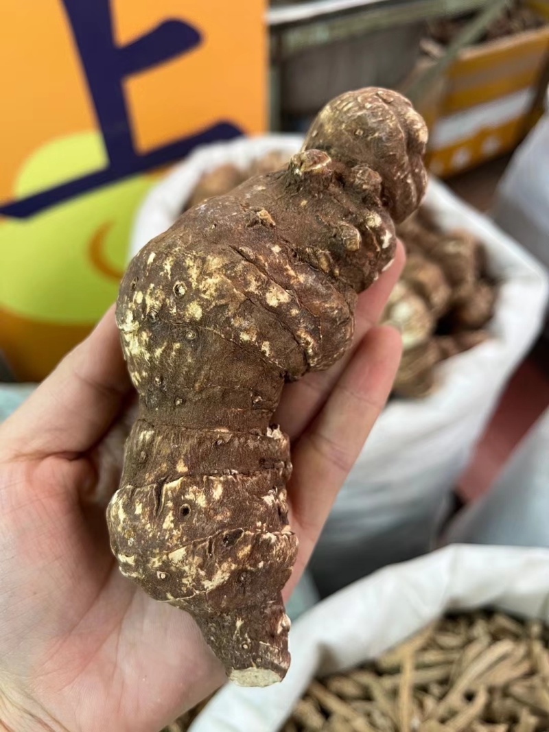 重楼，精品重楼，个大饱满品质保证，货源充足，量大从优