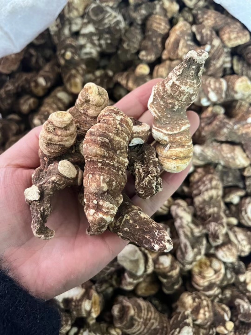重楼，精品重楼，个大饱满品质保证，货源充足，量大从优