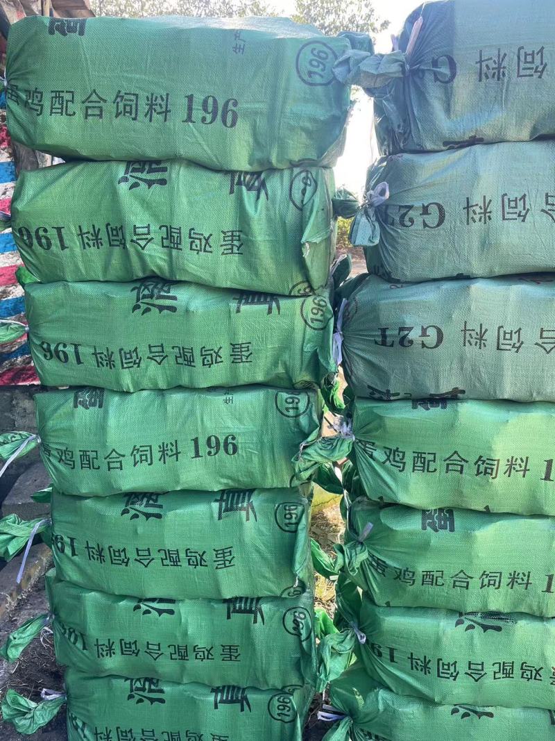 【推荐】广西茘枝果木碳量大从优厂家直发对接全国