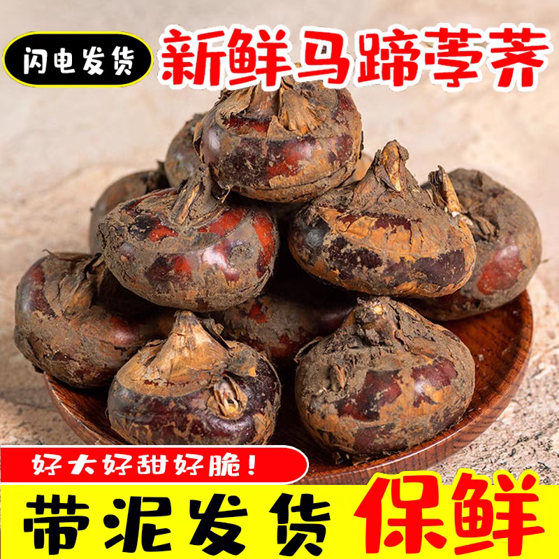 【马蹄】荸荠珍珠马蹄/广西马蹄/产地批发/欢迎来电咨询