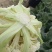 散花
