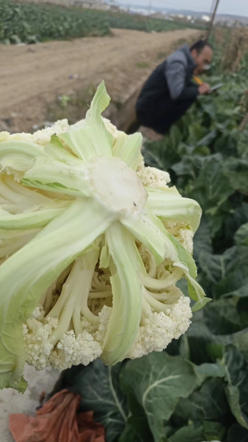 散花