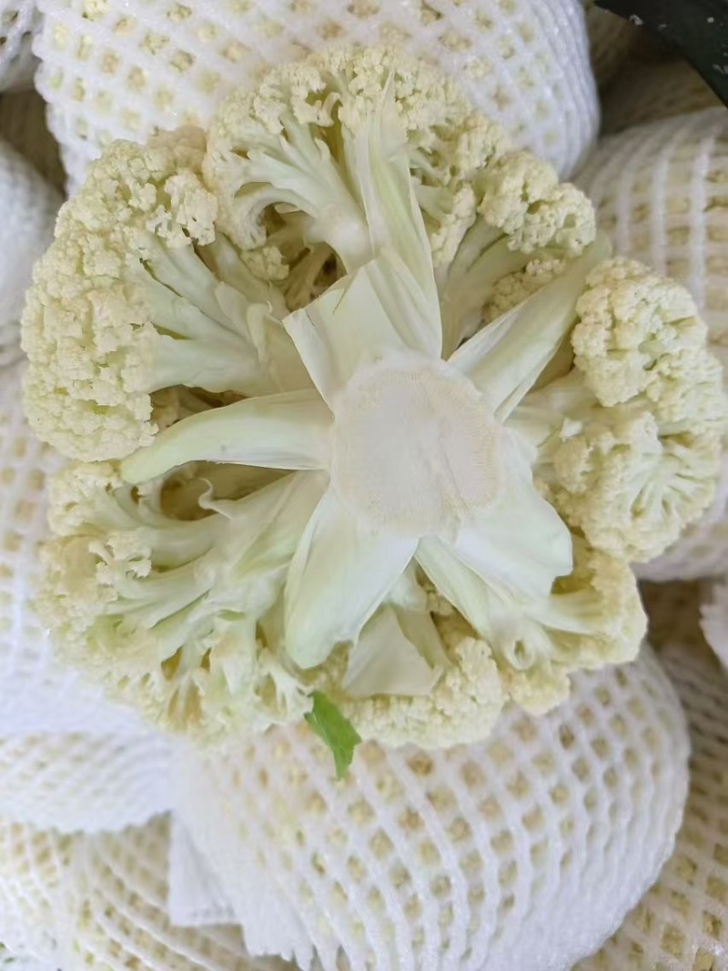 散花