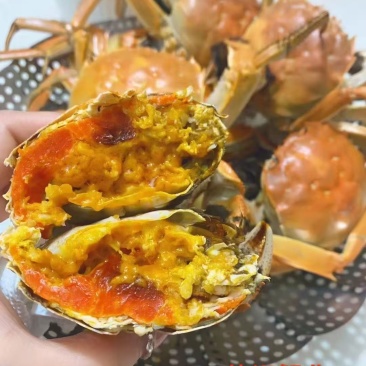 兴化红膏大闸蟹