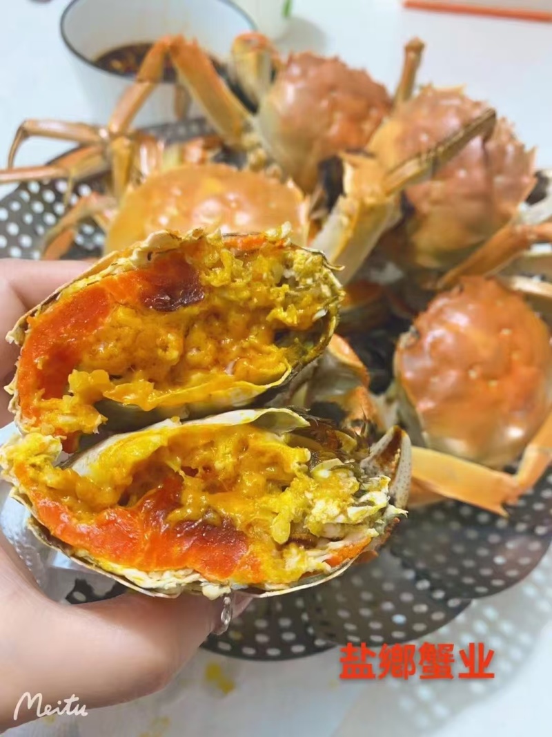 兴化红膏大闸蟹