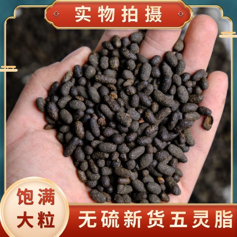 五灵脂中药材