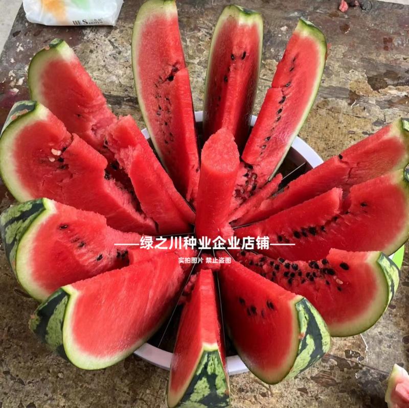 悦都西瓜种子冰糖美都西瓜种子超甜大果皮薄高产耐裂中熟西瓜