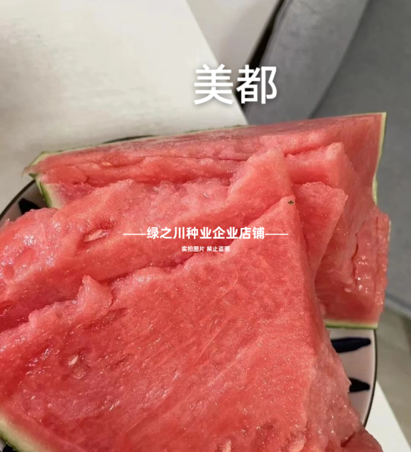 悦都西瓜种子冰糖美都西瓜种子超甜大果皮薄高产耐裂中熟西瓜