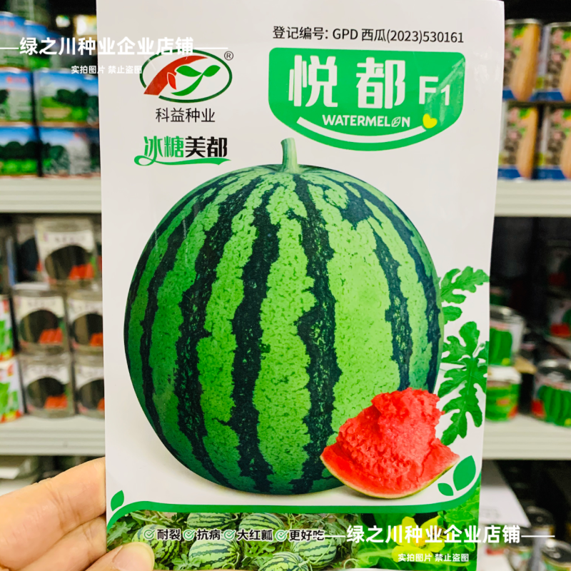 悦都西瓜种子冰糖美都西瓜种子超甜大果皮薄高产耐裂中熟西瓜