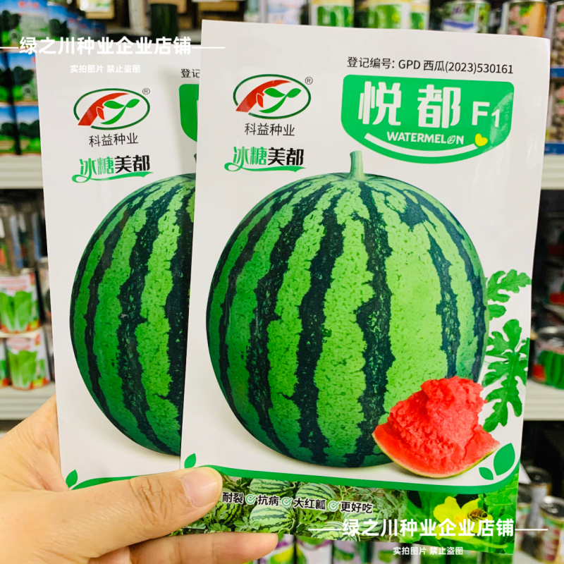 悦都西瓜种子冰糖美都西瓜种子超甜大果皮薄高产耐裂中熟西瓜