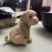 黄杨木雕金毛犬生肖狗工艺品动物摆件实木家居装饰品可爱把玩