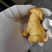 黄杨木雕金毛犬生肖狗工艺品动物摆件实木家居装饰品可爱把玩
