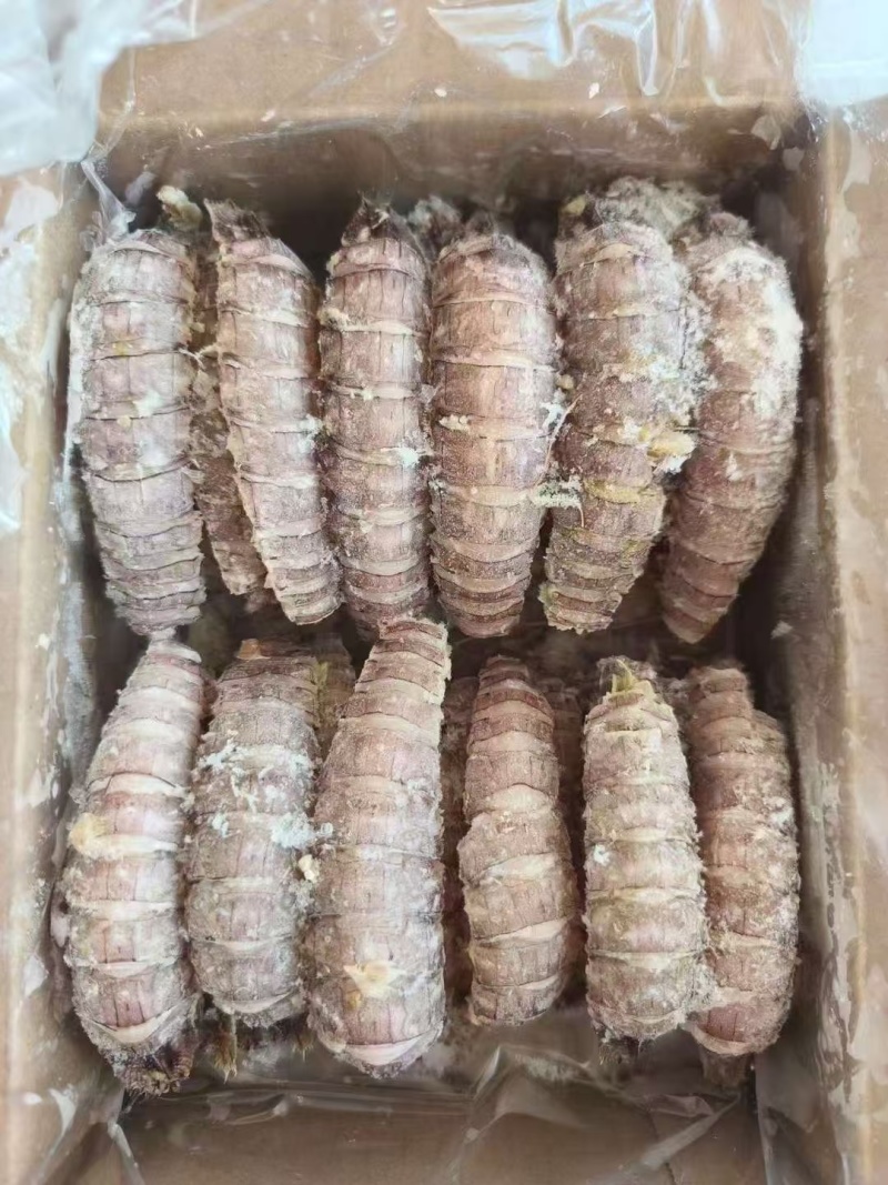 虾爬肉，皮皮虾肉，爬虾肉，虾爬肉生冻虾爬肉，熟冻皮皮虾肉