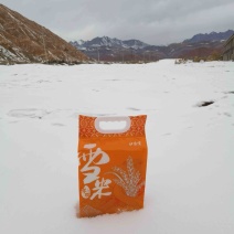 【推荐】新疆大米/羊脂籽米/对接商超批发市场/量大议价