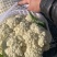 花菜大量上市