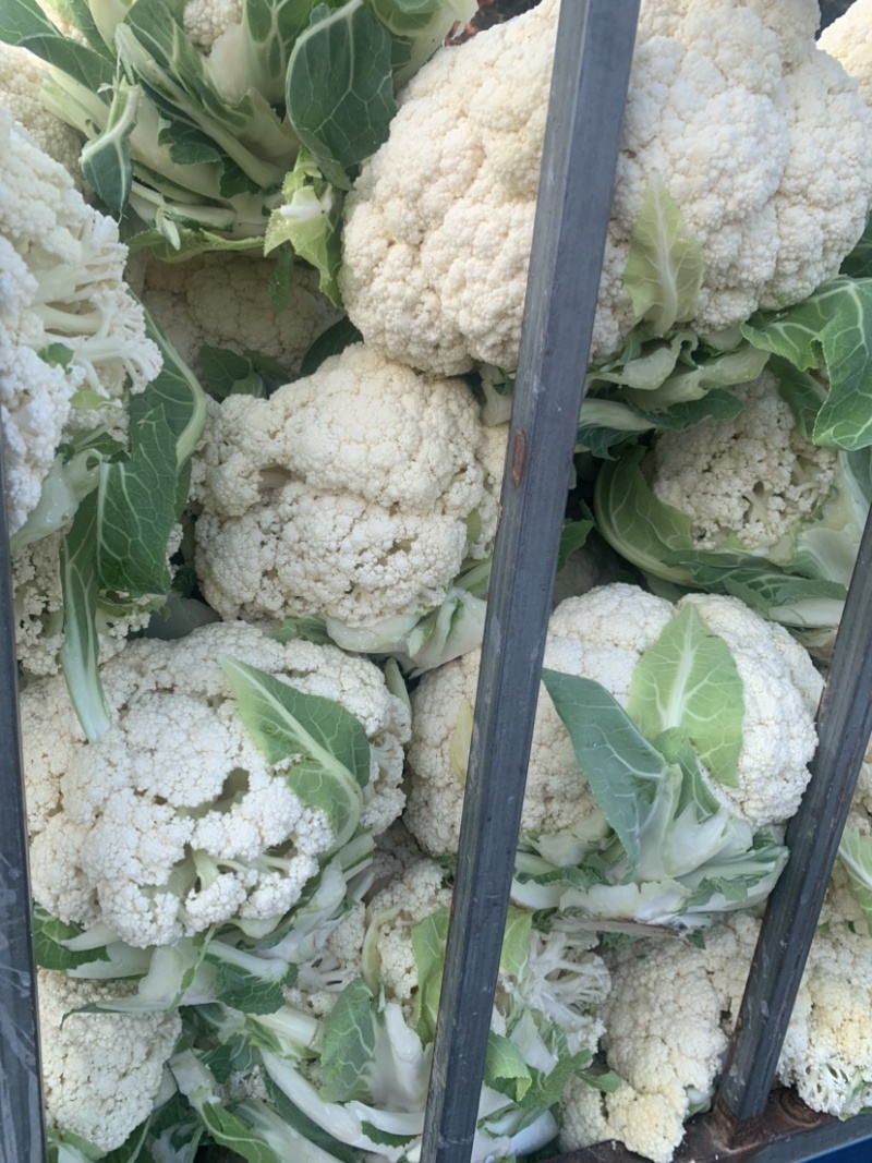 花菜大量上市