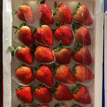 奶油草莓