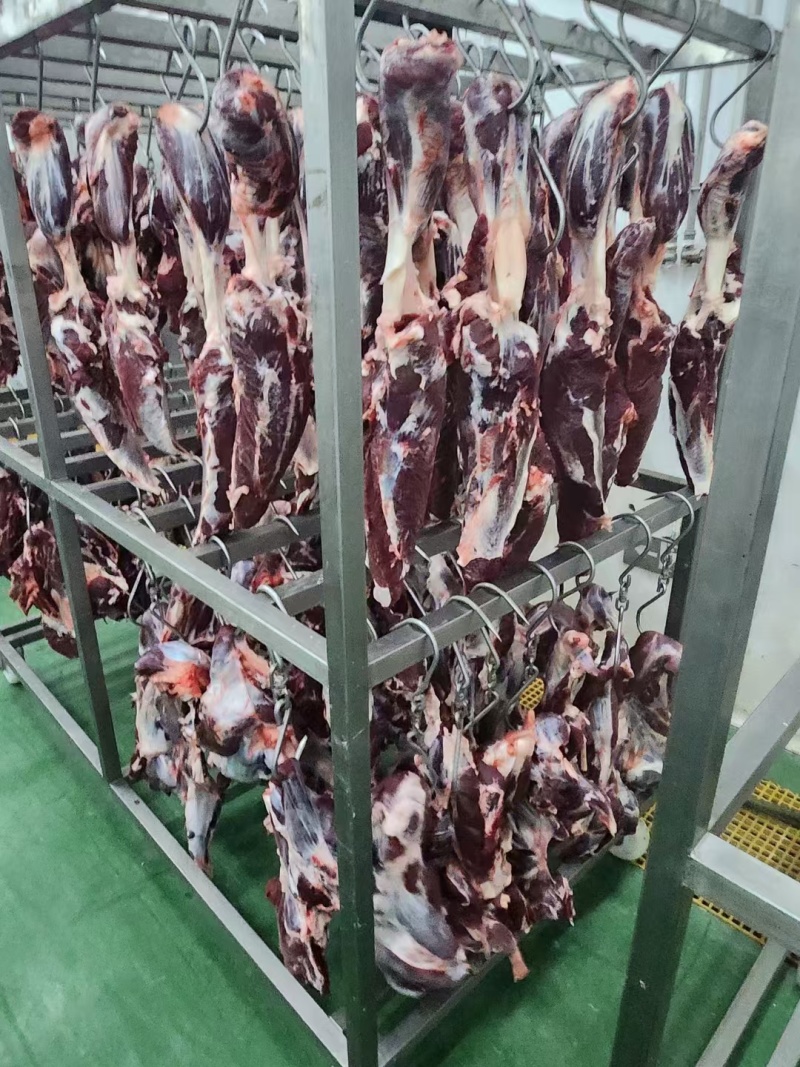 空运保鲜牛肉16分体