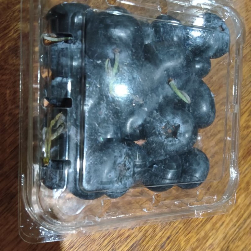 蓝莓大果中果小果都有